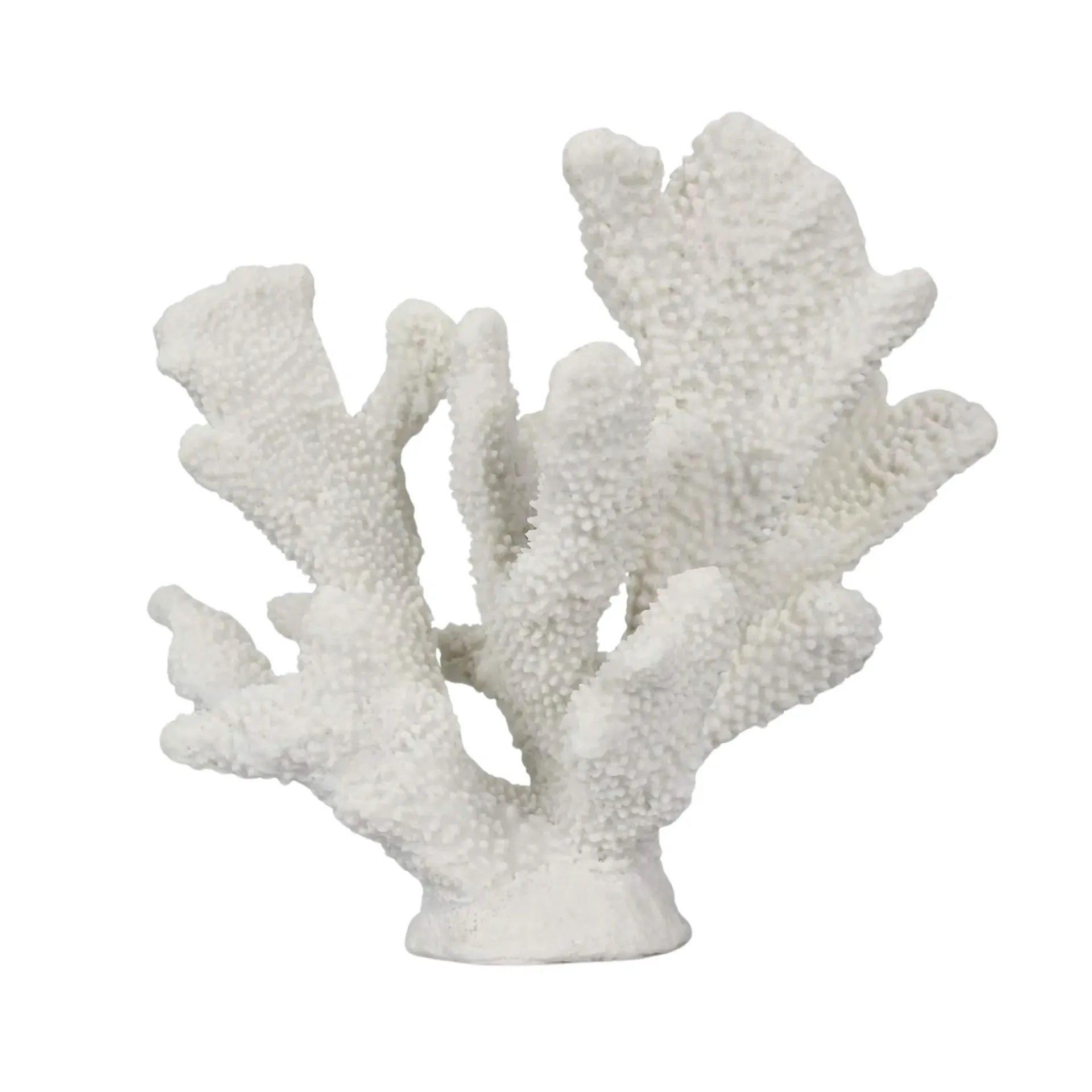 White Coral Piece